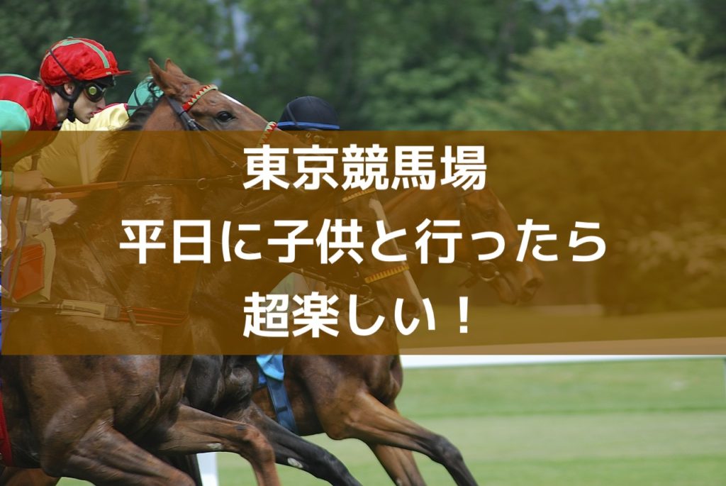 育メン日記 平日の東京競馬場は子供を遊ばせるのに最適な場所 馬見て アスレチックで遊んで 無料の競馬博物館で馬の知識深める リッキーブログ