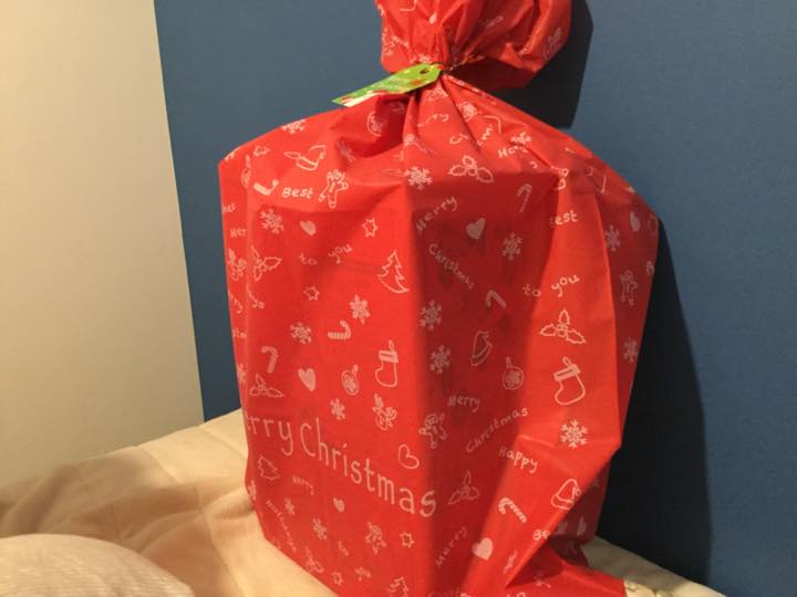 父親日記 クリスマスなので サンタっぽいことをしてみた リッキーブログ