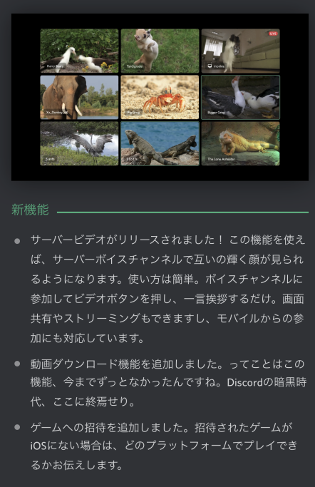 Discordでzoom会議風にビデオ通話する方法 画面共有ok リッキーブログ